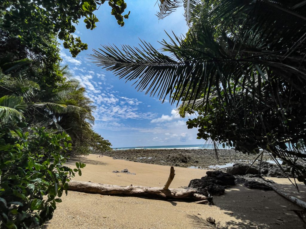 Lounge on the Pristine Beaches