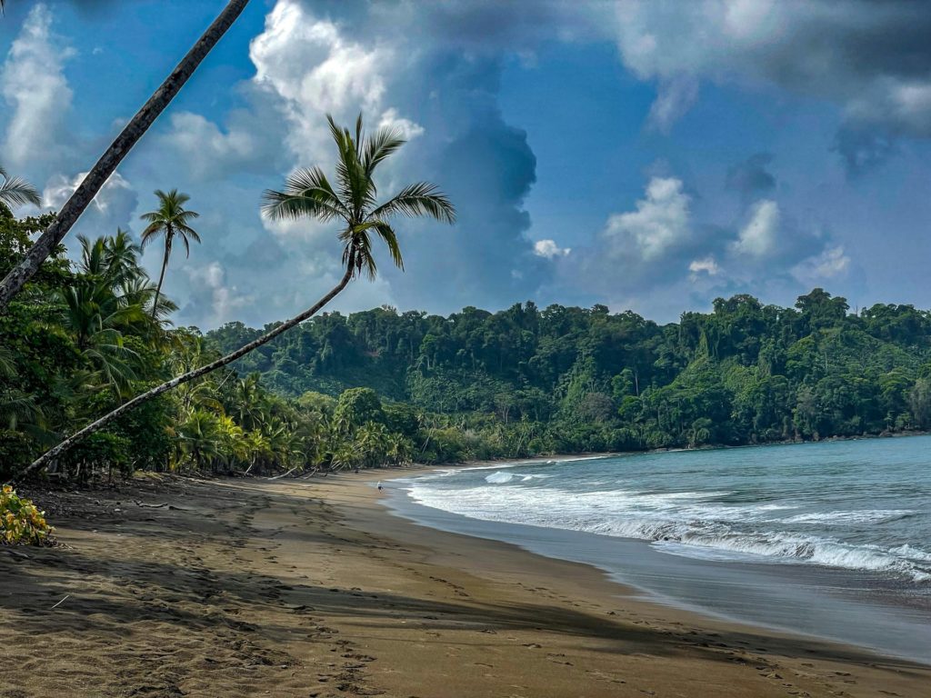 Lounge on the Pristine Beaches