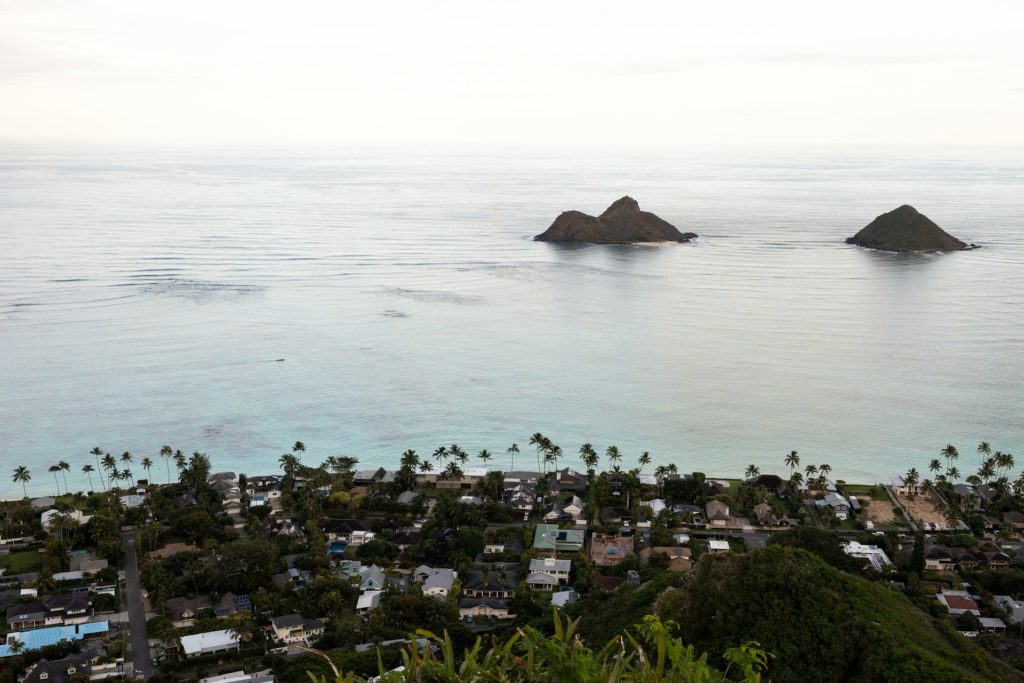 best food in kailua