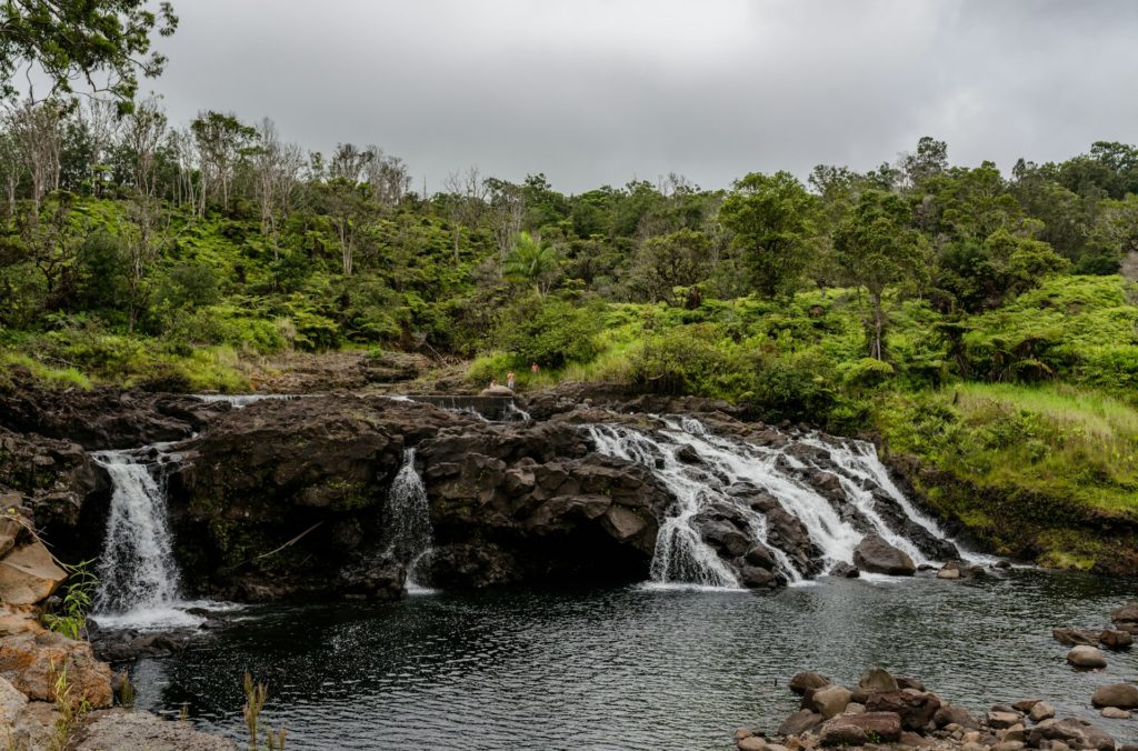 things to do in hilo