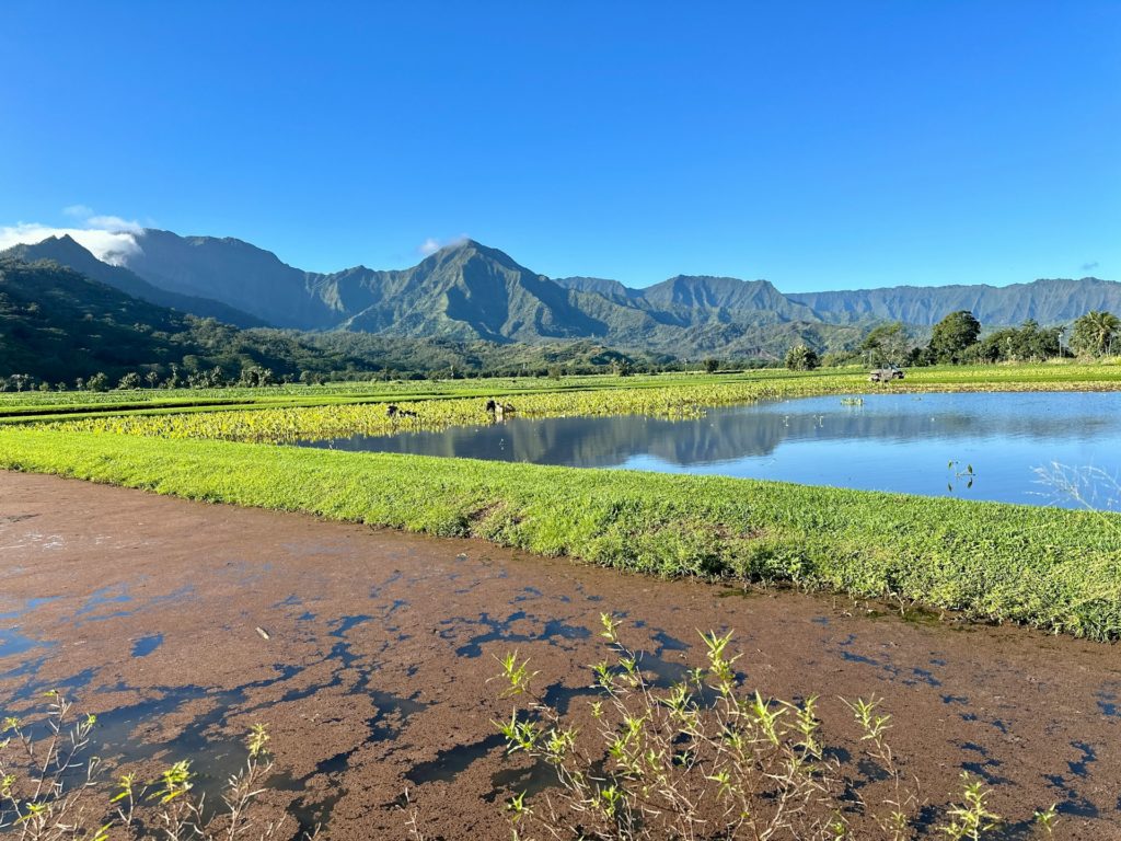 things to do in kauai