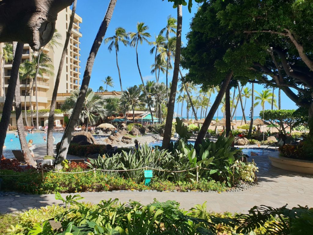 best places to eat in waikiki