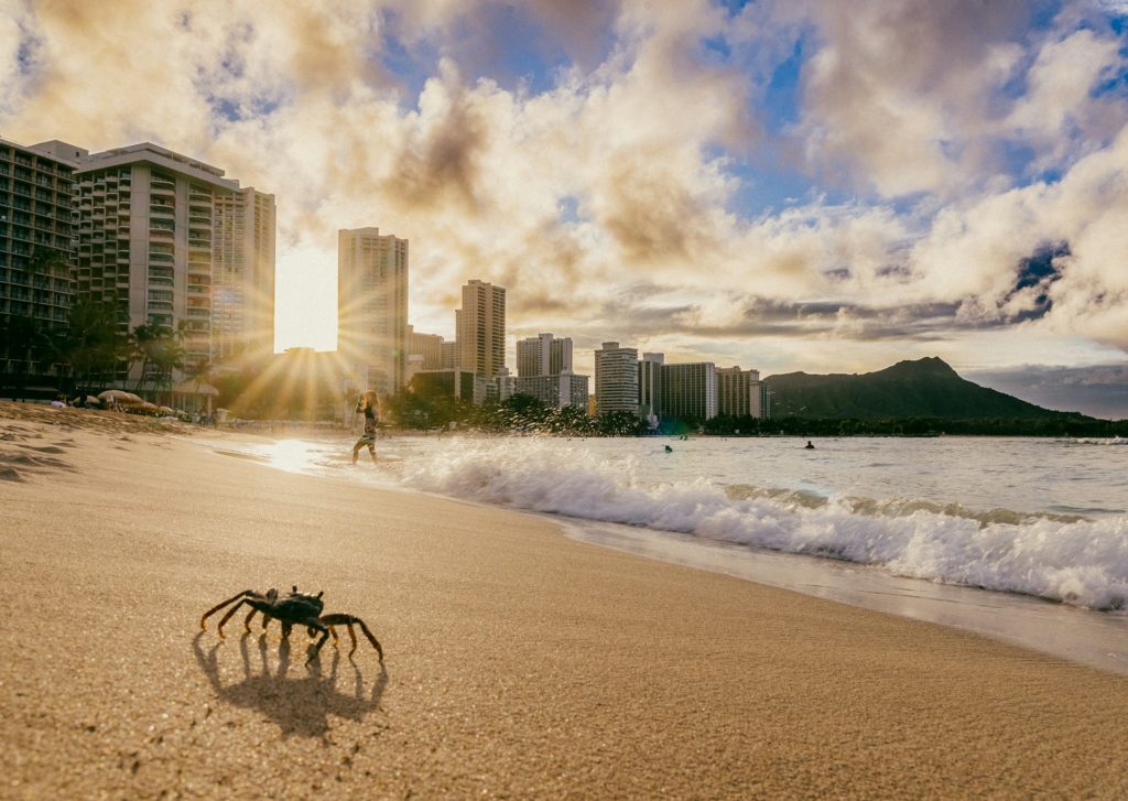 best beach in honolulu