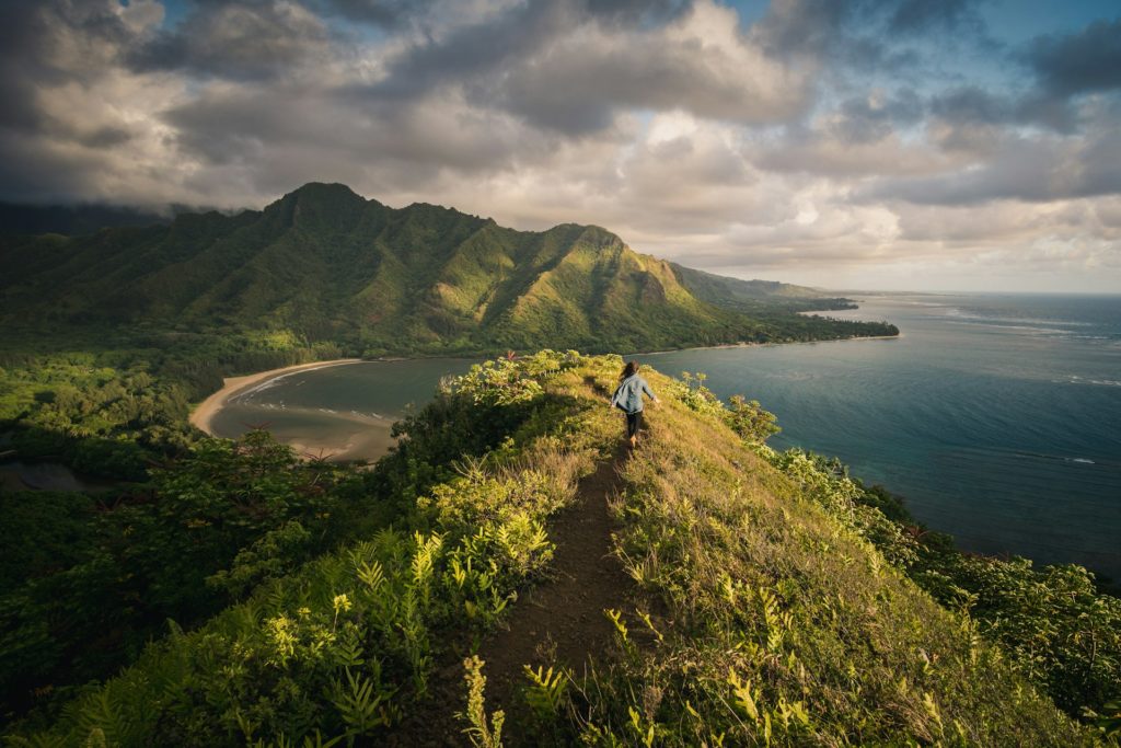 how many volcanoes are on the big island of hawaii